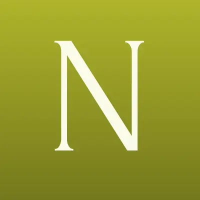 NPS, терминал, лого-визитка